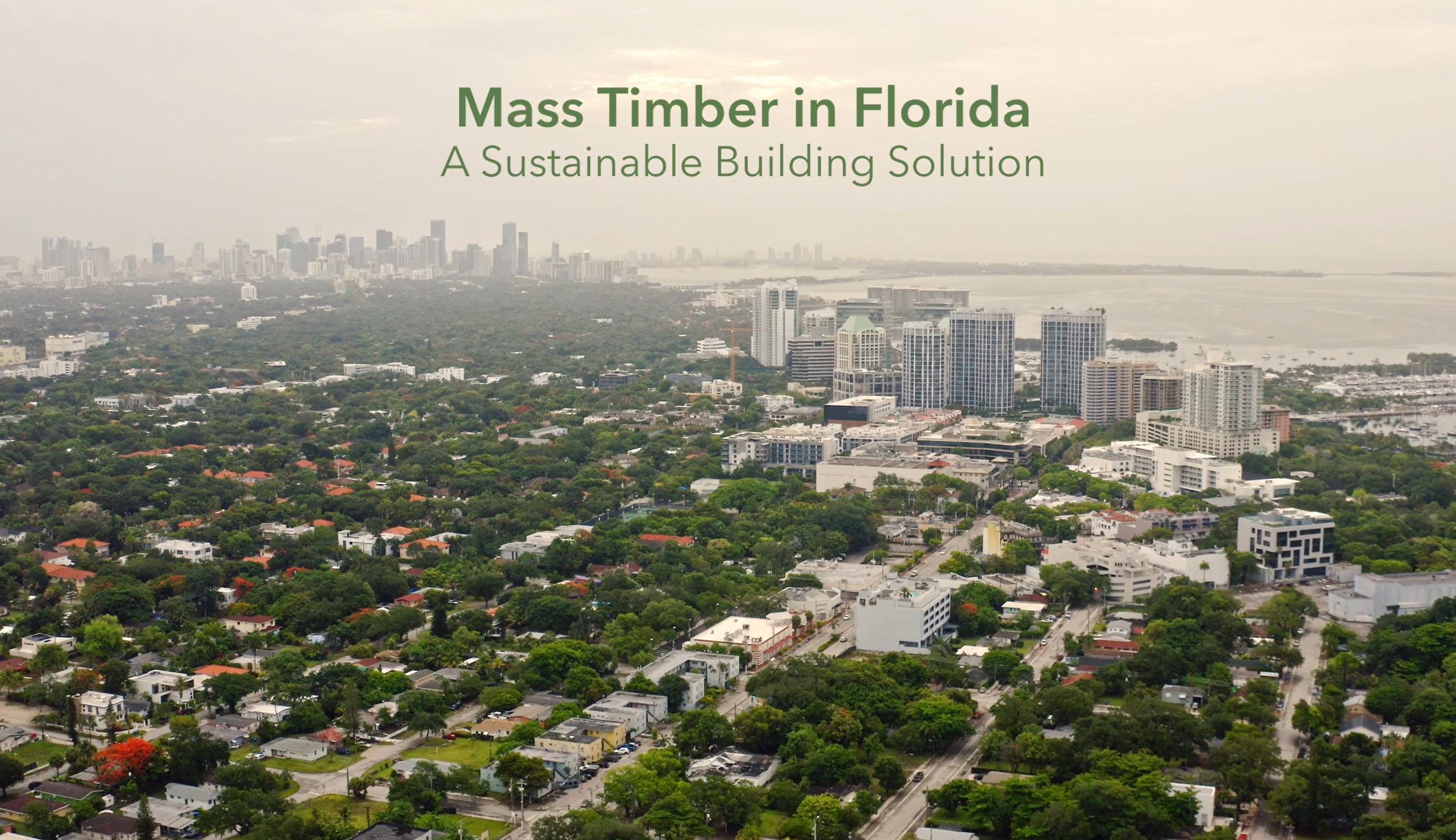 mass timber video cover